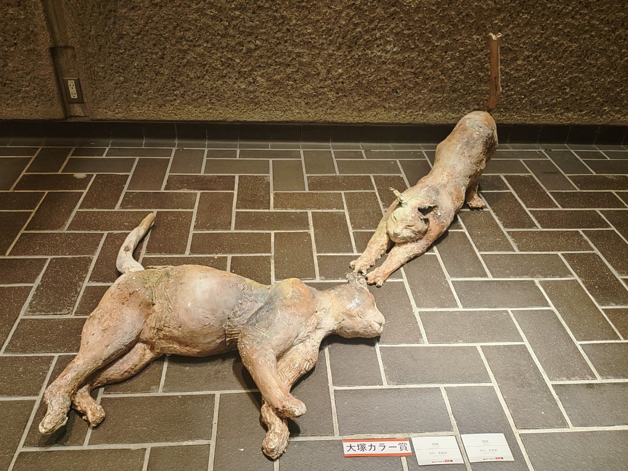 市村 多眞美作品
